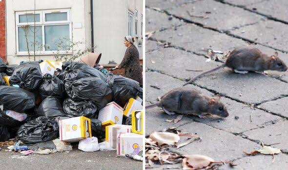 British troops call for help fight rats when growing a pile of garbage in Birmingham